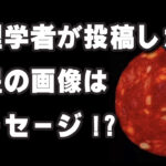 嘘ばかりの世の中になって信用できる情報はどこで見極めるか？